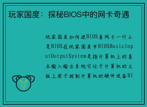 玩家国度：探秘BIOS中的网卡奇遇